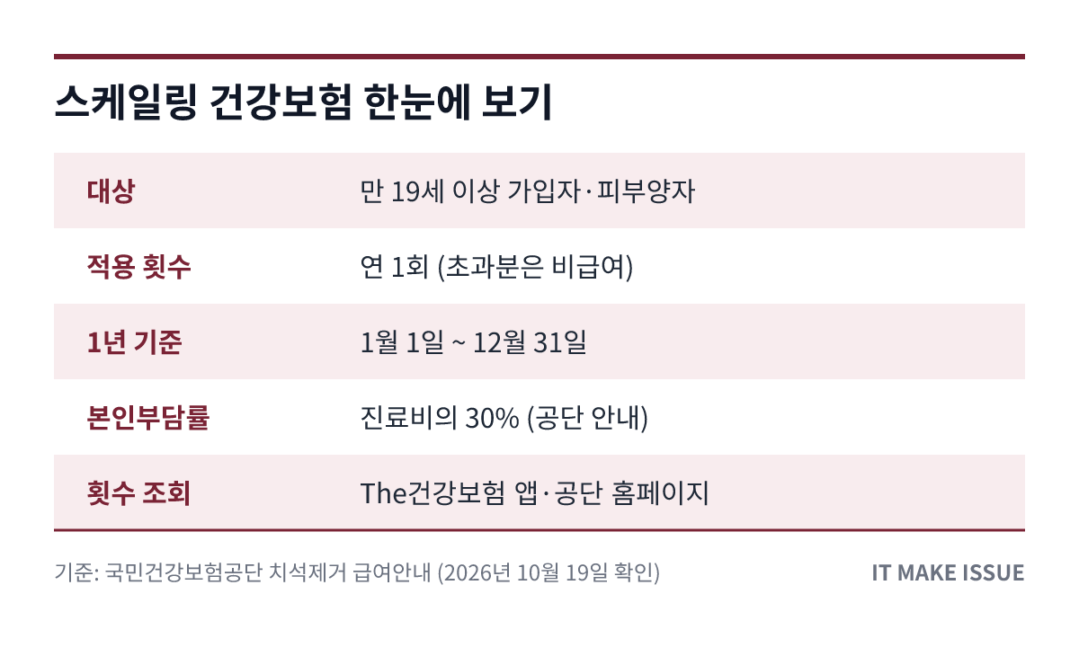 스케일링 건강보험 핵심 정보 요약 표 - 대상·횟수·본인부담