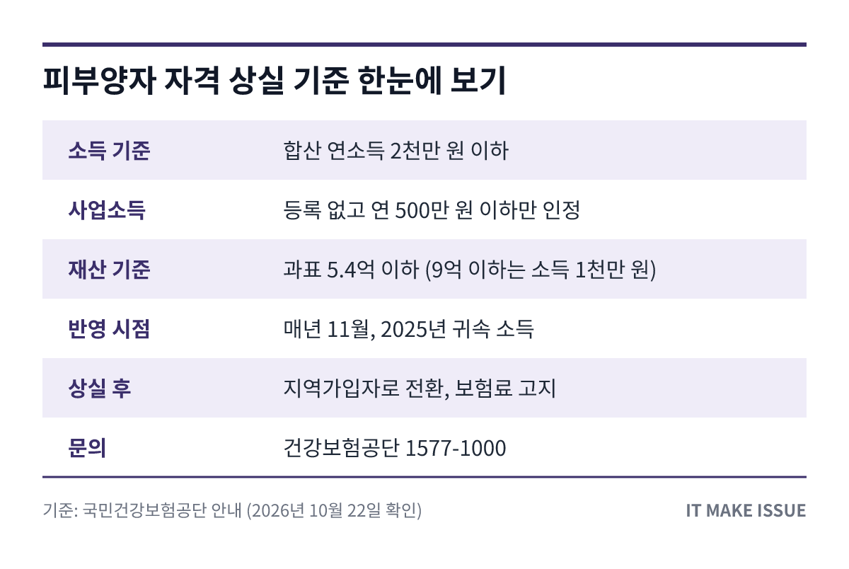 피부양자 자격 상실 기준 핵심 정보 요약 표 - 소득·사업소득·재산·반영 시점